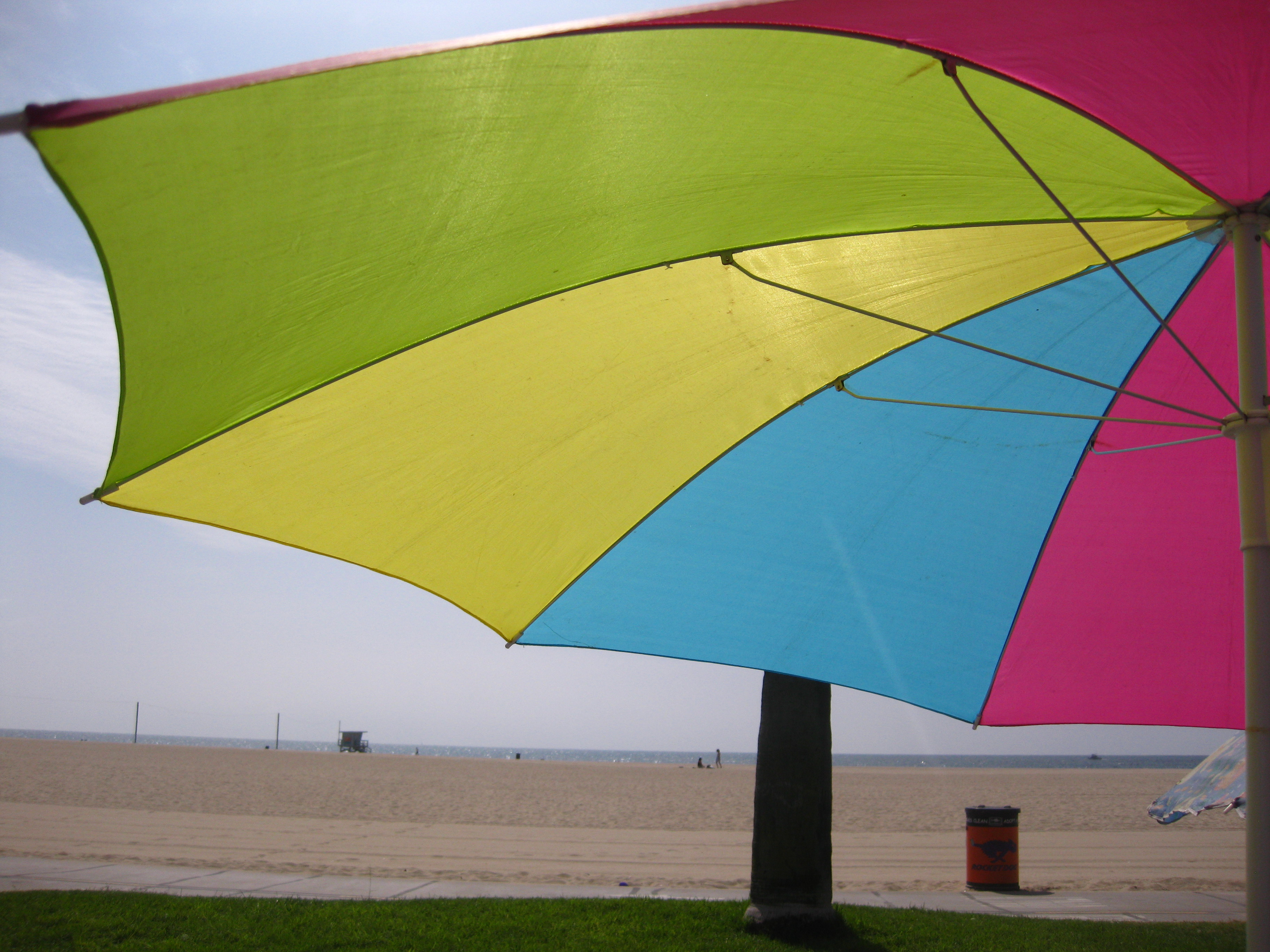 Colors of Venice Beach
